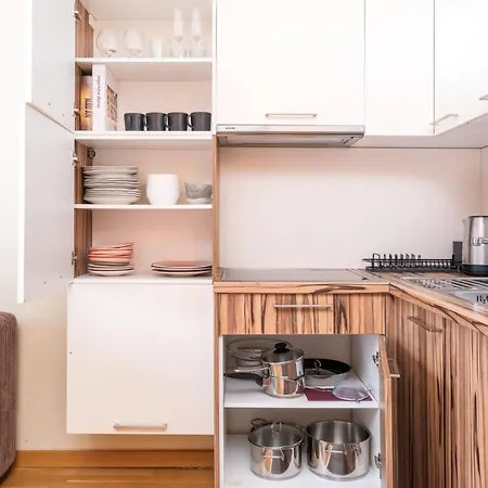 公寓 Spacious In A Park Zone With The Private Terrace *