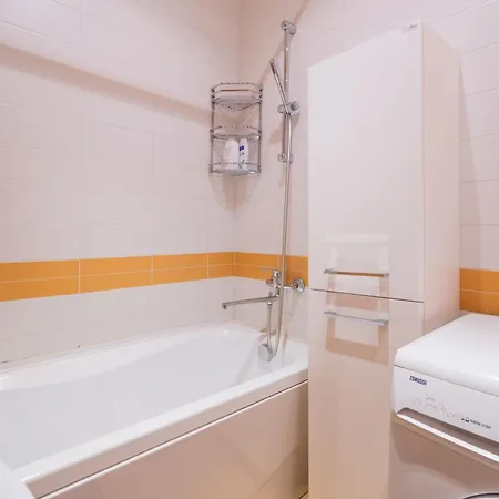 Spacious In A Park Zone With The Private Terrace 公寓 里加