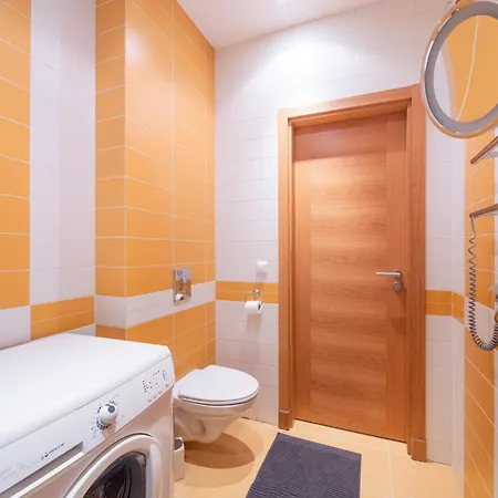 Spacious In A Park Zone With The Private Terrace * 里加