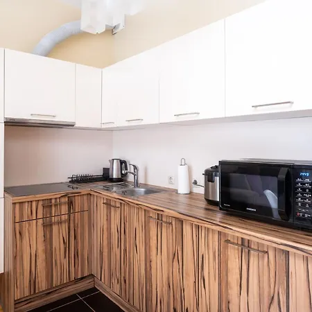 公寓 Spacious In A Park Zone With The Private Terrace 里加